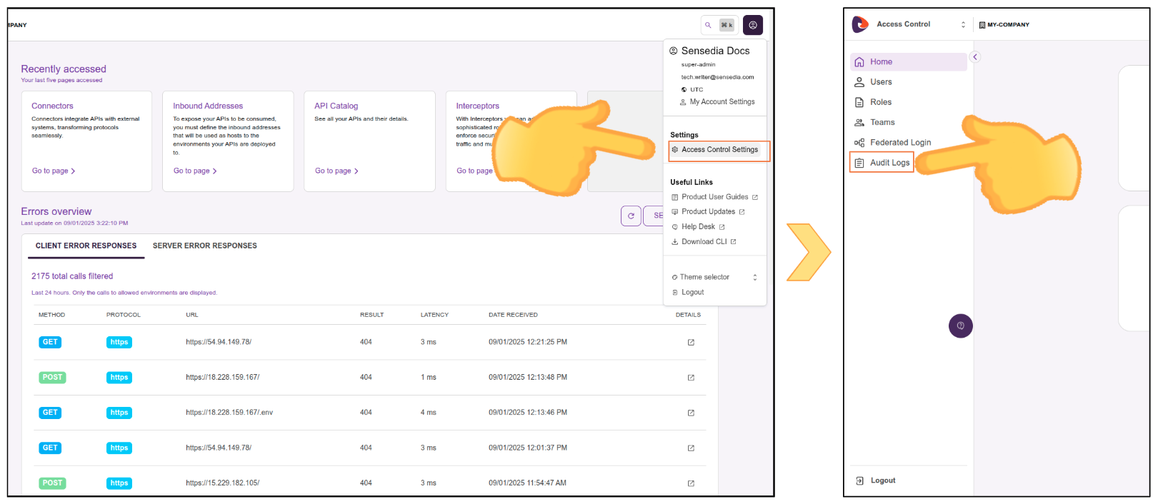 accessing the audit logs screen