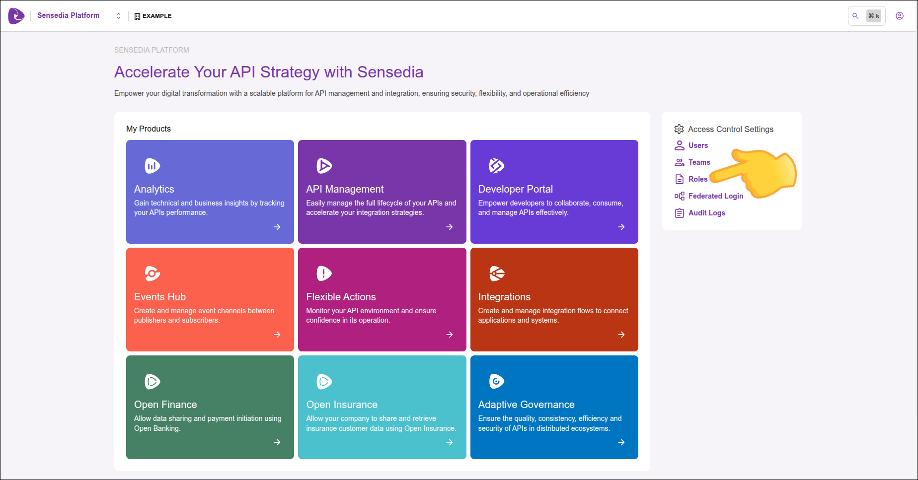 home screen with an indication for the roles menu