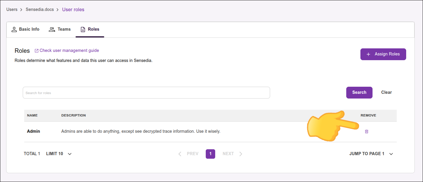 screen image with Remove Team or Remove Role highlighted