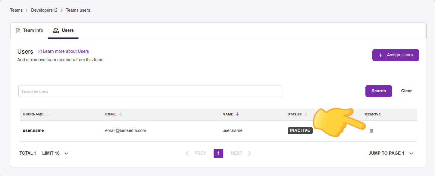 destaque para o ícone de lixeira na coluna Remove