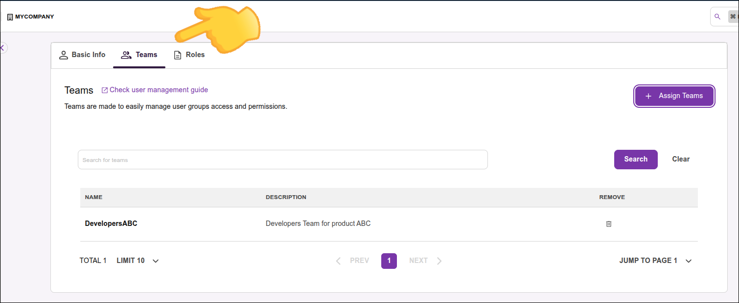imagem da tela com destaque para Teams e Roles