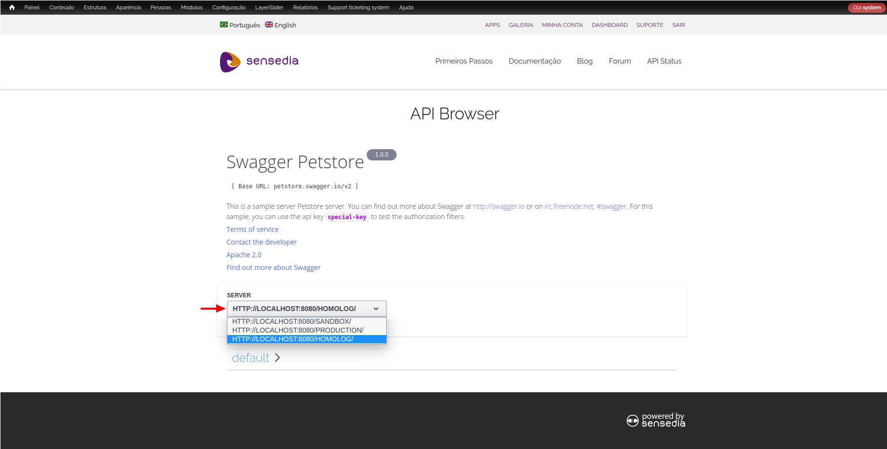 api browser