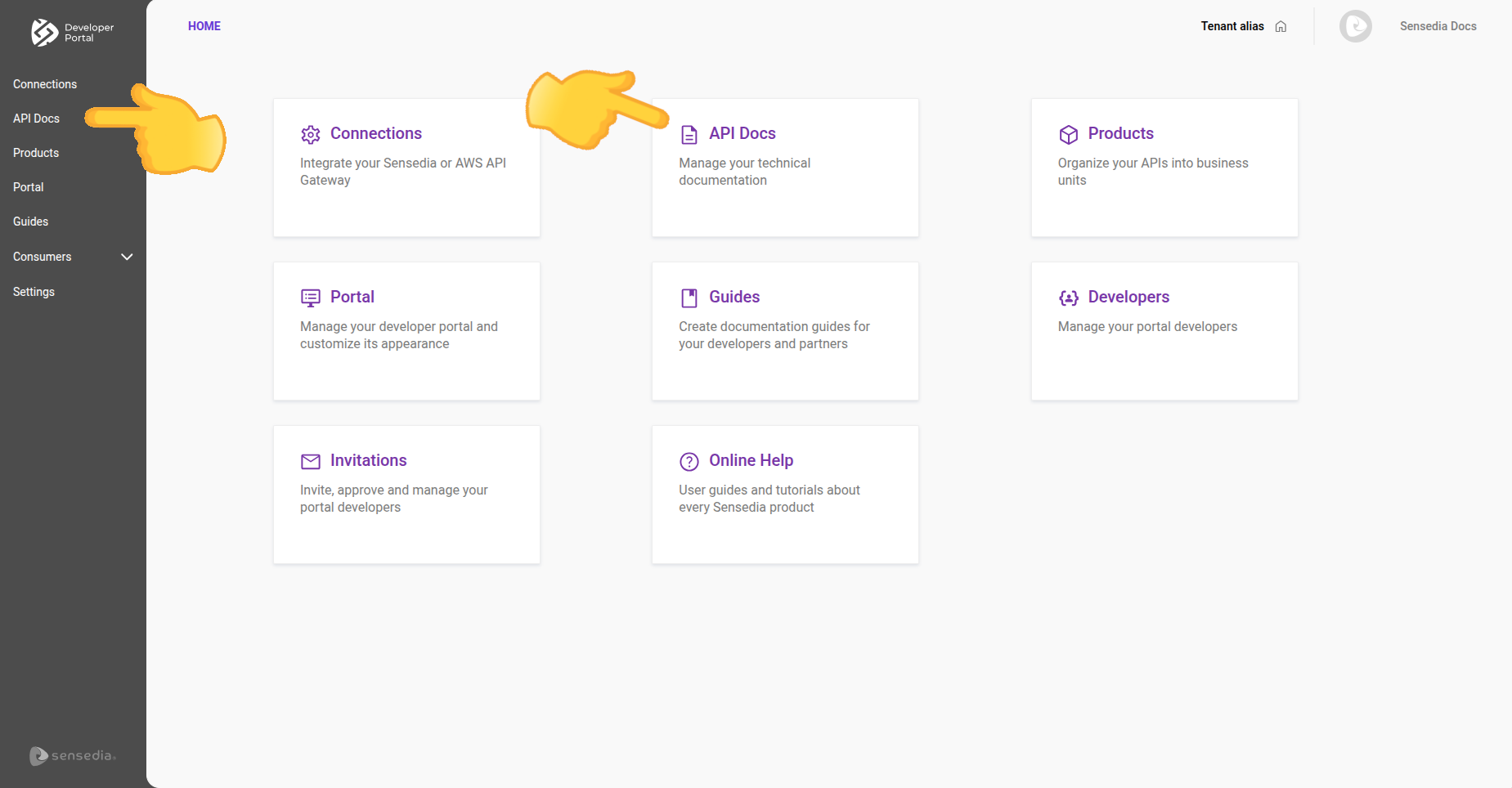 tela inicial com destaque para api docs