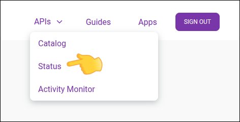Detalhe da tela API Status com menu destacado